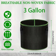 Starter Grow–Set, inkl. 3x Automatic–Flower Seeds, Diverse Sorten